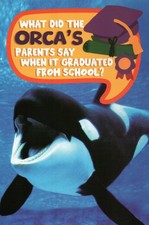 Whale ! What Did the Orca's Parents ... ? Funny Animal PC Joke - Modern Postcard