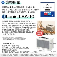 Bacchus WJB5-630-RSM/M-Act CAR 5 string bass beginner set with bass lifier JB