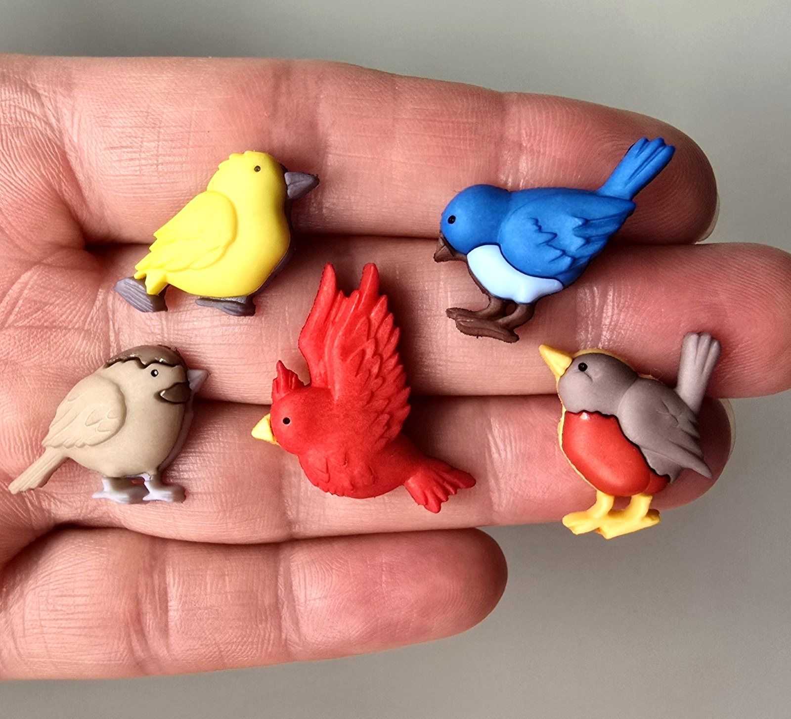 Dress It Up Craft Buttons FEATHERED FRIENDS Blue Bird Robin Garden Card Making