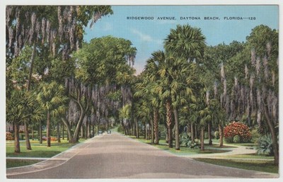 Ridgewood Avenue Daytona Beach Florida E C Kropp Postkarte