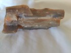 1.8oz Petrified Wood 2.5"+ x 1.25"+ — photo 3