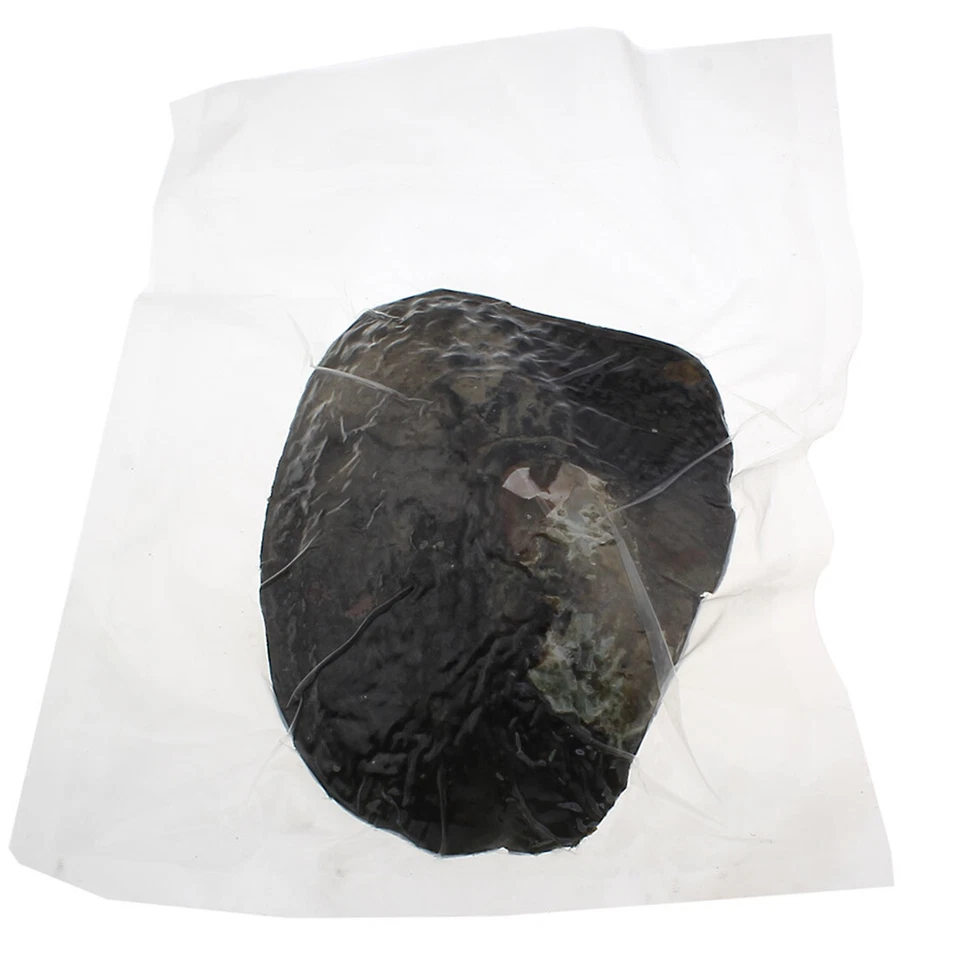 25 Pearls Vacuum Pack With 5-7mm Big Natural Freshwater Cultured Pearl Oyster - Image 2 of 4