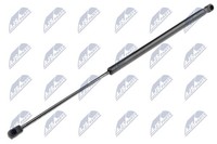 Heckklappen DäMpfer Gasfeder Kofferraum NTY AE-CT-025 FüR C4 CitroËN 16V Hdi THP