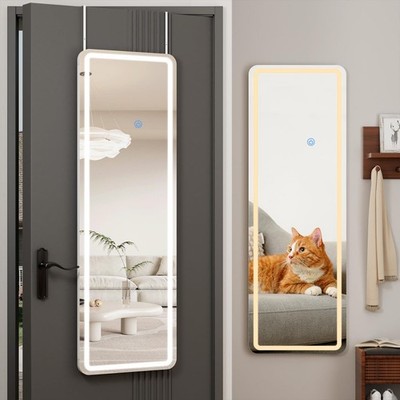 Full Length Mirror Door Hanging with LED Lights 48''x16''