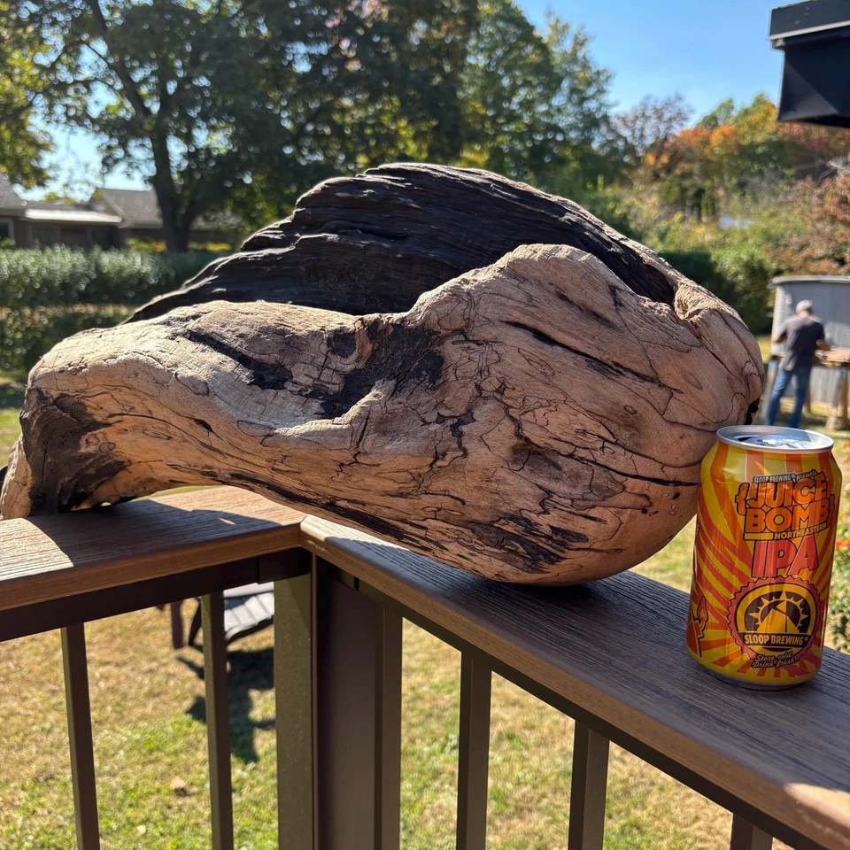 Large Driftwood Plant Holder 25x8x13 Hollow Center Black Tan Sculptural Wood - Image 2 of 4