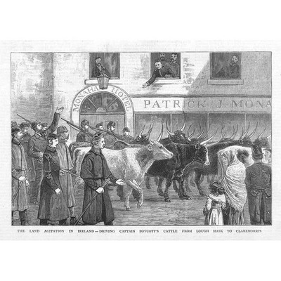 IRLAND Driving Captain Boycott's Cattle to Claremorris - Antique Print 1880