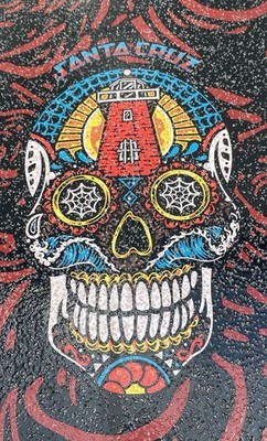 Santa Cruz Sugar Skull Pintail Longboard 39 X 9 1/2” | eBay