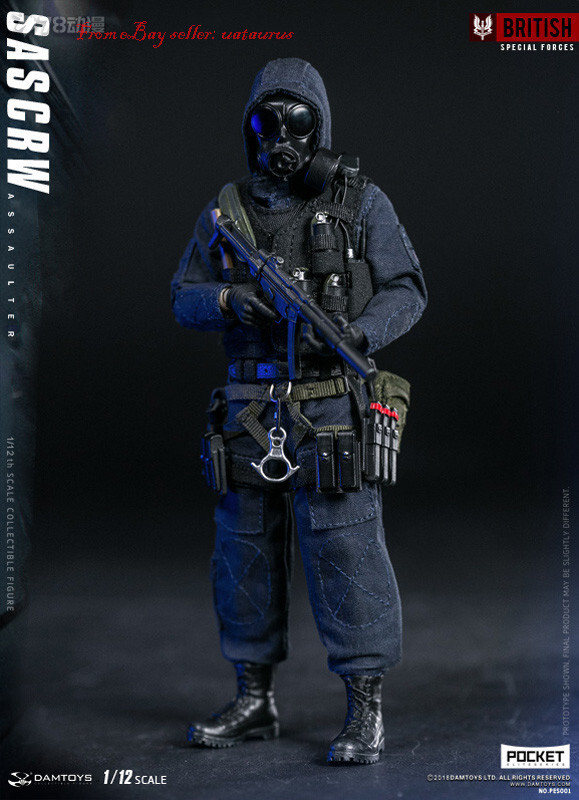 SAS CRW アサルター 1/12スケール Perfect Damtoys 1/12 Pes001 Pocket Elite Series Sas Crw Assaulter