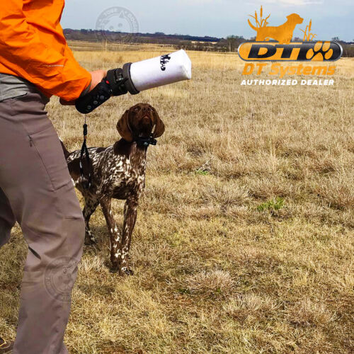 DT Systems Super Pro Launcher Kit palmare addestramento cane manichino bianco - Foto 10 di 13