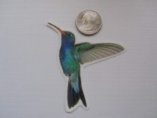 Temporary Tattoos - Hummingbird approx. 3" each 