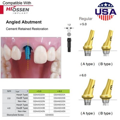 US 17° Angulated Abutment Regular Hex A/B Type For Osstem TS Regular Platform Ti