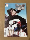 PUNISHER VS AMAZING SPIDER-MAN #1 RUAN VARIANT 1ST PRINT MARVEL COMICS (2026)