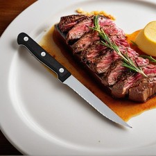 Set Of 8PCS 8 Inches 8 Pack Stainless Steel Steak Knives 8X Set