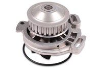 Hepu Wasserpumpe P526 FüR Audi VW