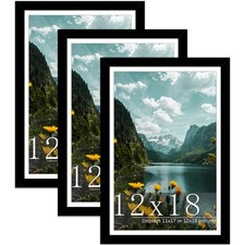 12x18 Picture Frame 3 Pack, Black Poster Frame, Display Poster 11 x 17 with M...