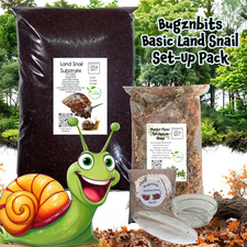 مقتنيات Bugznbits Snail
