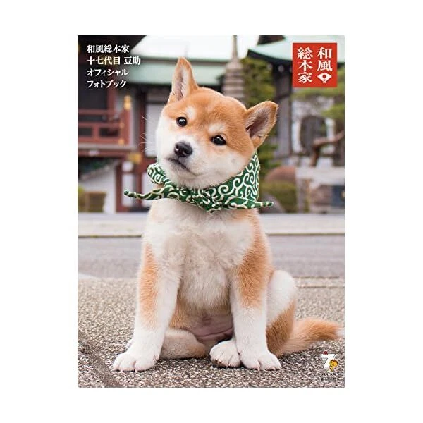 Mamesuke shiba sales