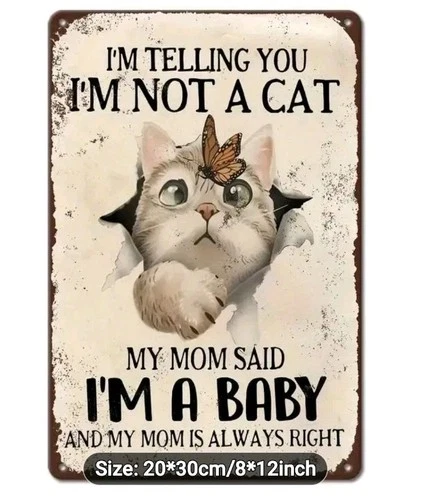 Cat Wall Art Metal Sign 8x12 Vintage Farmhouse Decor Funny Kitten Baby Poster