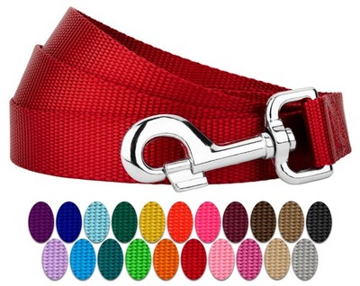 Country Brook Petz  1 Inch Everyday Nylon Dog Leash - 25+ Colors