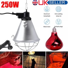 INFRARED HEAT LAMP & BULB Ruby 250w. For Poultry, Chicks, Dogs, Puppies, Cats.