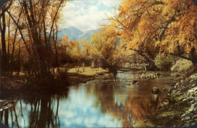 Cottonwood Creek, Buena Vista, Colorado, CO, Mt. Princeton Postcard