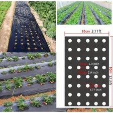 Vegetables weed fabric Our High-Quality Black Plastic Mulch Film - Perfect for G