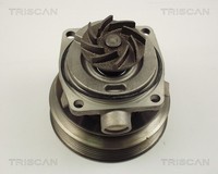 Triscan Wasserpumpe MotorküHlung 8600 10006 FüR Fiat Expert Scudo Peugeot Jumpy