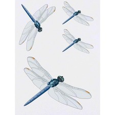 4 x 'Dragonfly' Temporary Tattoos / Transfers TO00035129 