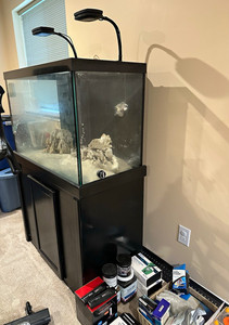 60 Gal Glass Rectangular Marine Aquarium Fish Tank w/ Stand, 30 in, complete