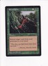 1996 MAGIC THE GATHERING MTG VISIONS ELVEN CACHE (PH)