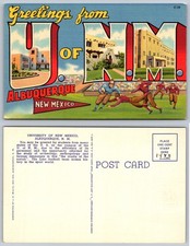 University Of New Mexico Albuquerque Postcard