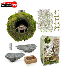 Jumping Spider Enclosure Accessories Kit - Magnetic Moss Ball Hideout, 2 Rock...
