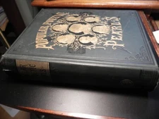 "Popular Poetic Pearls" 1885 McAlpine Whitman, Poe,Byron, Scott, Longfellow, etc