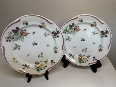 (2) Christian Dior Provence Collection ALSACE  8.5  Plates Flowers Berries Rim