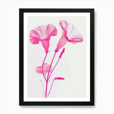 Hot Pink Morning Glory 3 Kunstdruck gerahmt Wandbild Poster Leinwanddruck Bild