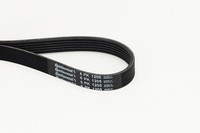 Continental Ctam Keilrippenriemen 6PK1205 FüR Peugeot Opel CitroËN Ford Lancia