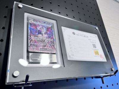 ARS10+ Charizard ex 349/190 SAR sv4a with display Pokemon Highest