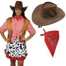western fancy dress plus size