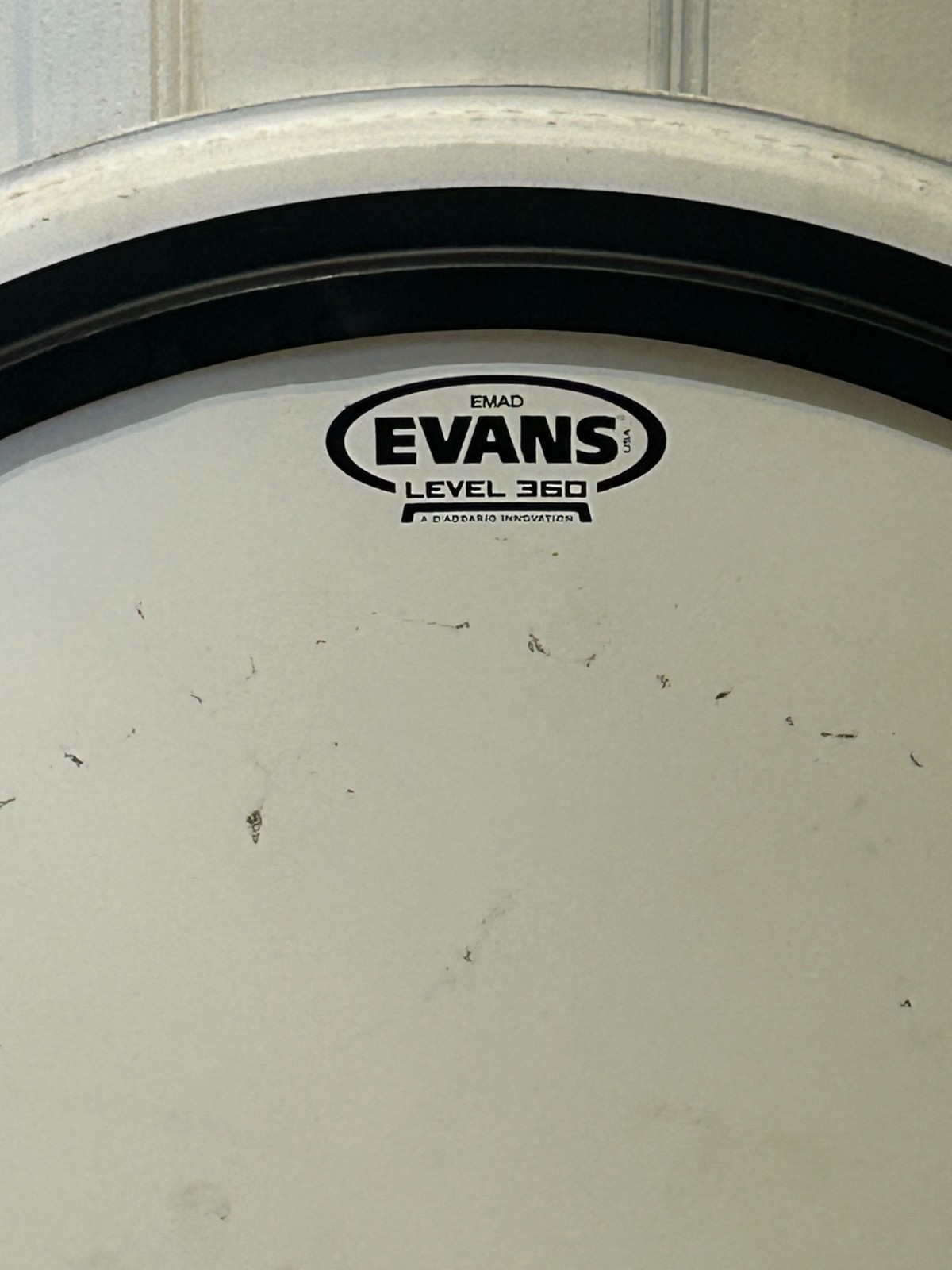 24'' EVANS EMAD Level 360 Coated Bass drum head photo 2