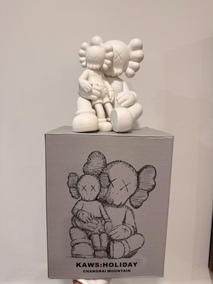 その他 KAWS HOLIDAY CHANGBAI MOUNTAIN kaws-holiday-changbai-mountain