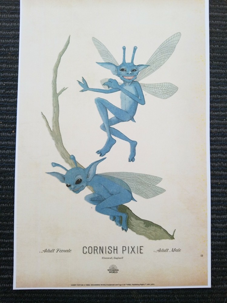 Harry Potter Wizarding World Art Cornish Pixie Poster Print 13x19 MATTE 13x19