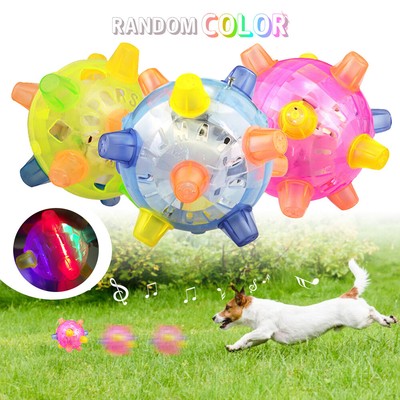 jumping ball dog toy