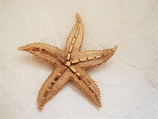 Vintage Gold Tone Starfish Sea Star Pin Brooch KJ