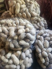 4LB RAW JUMBO PEANUTS IN SHELL FOR ROASTING, BOILING OR FEEDING SQUIRRELS