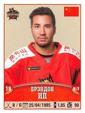 2017-18 Panini KHL Hockey 10th Season Sticker Collection Pick From List 221-439