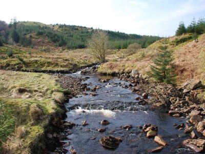 Foto 6x4 Allt Blarghour Ardchonnell Blick flussaufwärts von der Waldstraße c2009