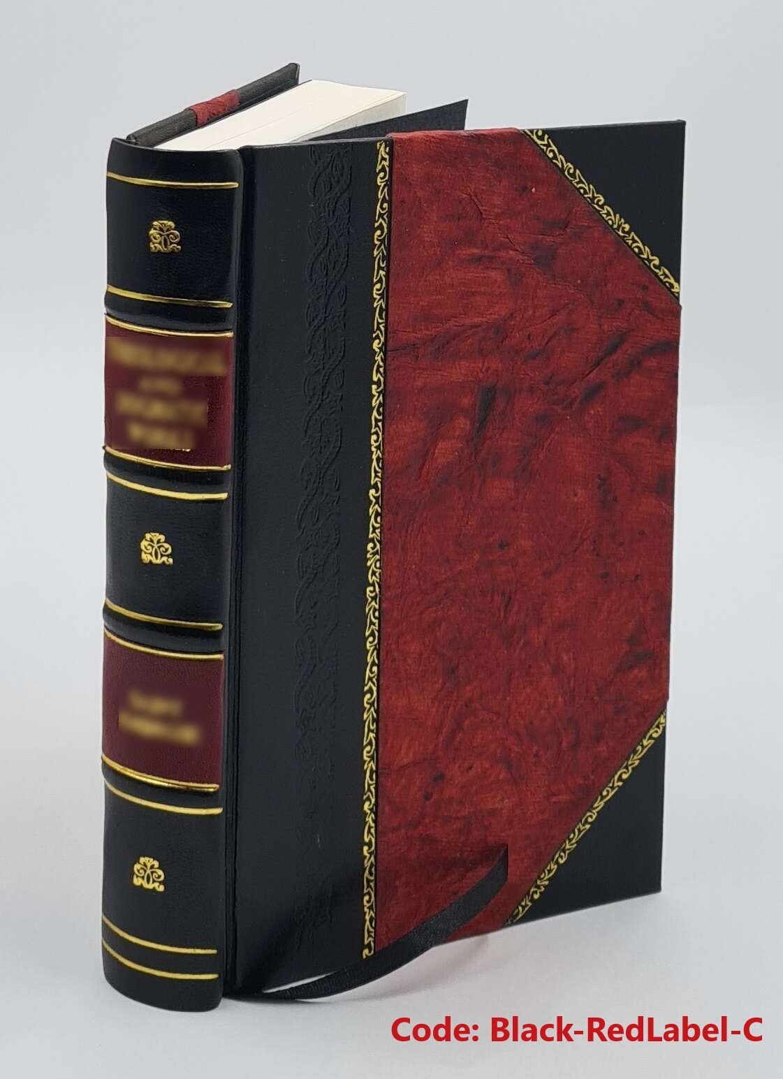 Guida di Ancona e dei suoi dintorni : con pianta topografica del [Leather Bound]