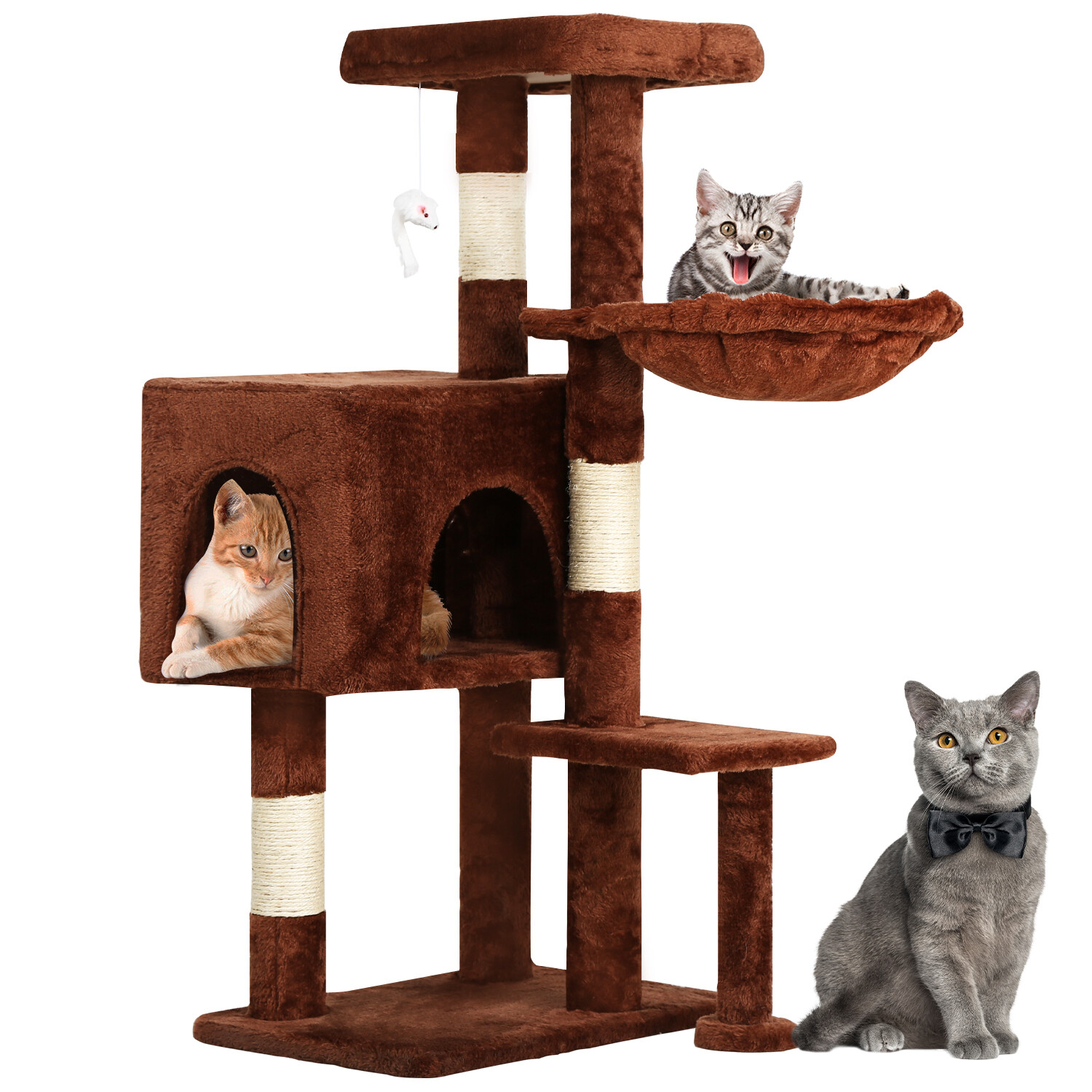 cat loves scratching post