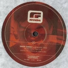 David Duriez - The Warm Up - UK 12" Vinyl - 1997 - Filth