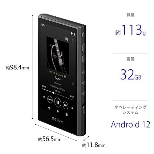 SONY NW-A306 LC 32GB BLACK Hi-Res A300 Series Walkman From